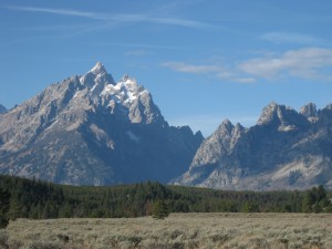 IMG_9821