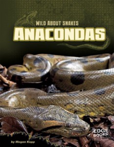 anaconda