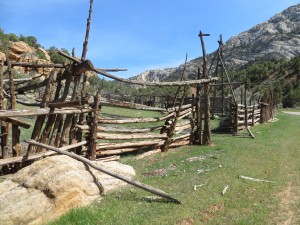 Remains of the corral. (photo: M. Kopp)